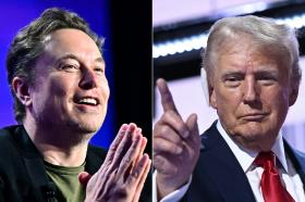 Trump công bố kế hoạch bổ nhiệm Elon Musk vào chính quyền 