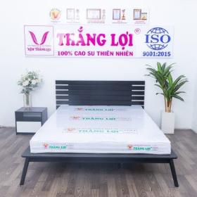 Ưu và nhược điểm của nệm cao su non Thắng Lợi  第3张