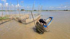 Bão Yagi khiến nước sông Mekong dâng cao, miền Tây nguy cơ ngập 