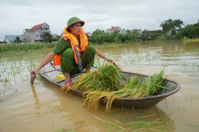 Những khung cảnh lịch sử giữa trận lụt lớn nhất 23 năm qua ở Thái Nguyên  第20张