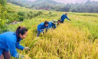  Xem thanh niên tranh tài hùng biện, phản kỹ năng sinh tồn... 第9张