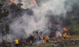 Peru ban bố tình trạng khẩn cấp do cháy rừng dữ dội