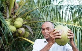 Vô một khu rừng ở Kiên Giang, bất ngờ thấy nông dân nuôi cá đặc sản to bự thế này, bán giá nhà giàu