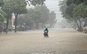 Phó Chủ tịch T.Ư Hội NDVN Bùi Thị Thơm đánh giá cao hoạt động của một HTX tiêu biểu ngành thanh long Bình Thuận  第11张