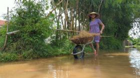 Tuổi thơ thật buồn của nữ tân sinh viên Huế: Đang chữa trị chứng tâm thần cho mẹ thì mất cha