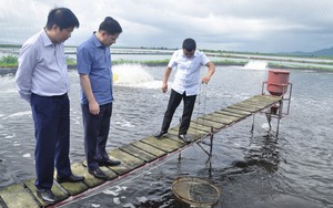 Hội Nông dân tỉnh Quảng Ninh tuyên truyền hiệu quả, nông dân hiểu luật, giảm khiếu kiện