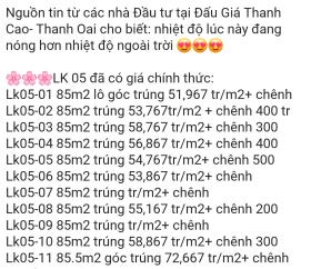 Đấu giá đất huyện Thanh Oai: Giá trúng cao &quot;chót vót&quot;, có lô hơn 100 triệu đồng/m2