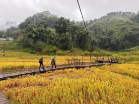 Lào Cai mở tour du lịch kết hợp thiện nguyện sau bão Yagi 