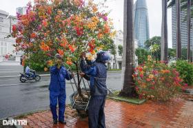 Ngư dân Đà Nẵng chi tiền triệu thuê xe cẩu thuyền lên bờ tránh bão  第11张