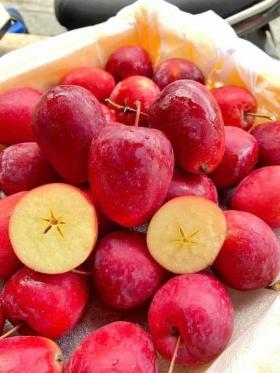 Táo cherry loạn giá, mập mờ nguồn gốc