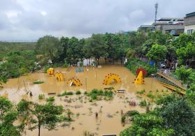 Nước sông Hồng lên cao, người dân bãi giữa xót xa ngâm mình trục vớt từng con gà, buồng chuối  第10张