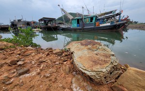 JAPFA tiếp nối hành trình “Trao gửi yêu thương - Cùng em đến trường”  第4张