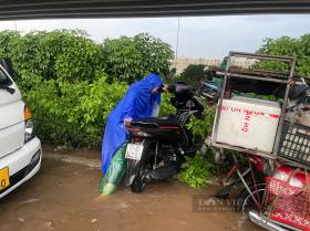 Hà Nội: Đường ngập sâu sau mưa lớn, ô tô chết máy, xe máy phá nát dải phân cách tìm đường “thoát thân”