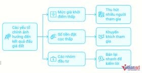 Đấu giá đất cao rồi bỏ cọc, tạo giá ảo để thao túng: Phổ biến, mang tính tổ chức