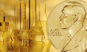 Hôm nay trao giải Nobel Hóa học 2024 