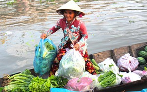 Đặc sản đồng quê Sóc Trăng, thứ mắm khó đọc làm từ &quot;lung tung cá đồng&quot; ăn với rau tươi, quả sống