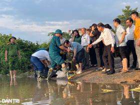 Hà Nội: Lũ dâng 1,2m, hơn 300 học sinh &quot;khăn gói&quot; học nhờ